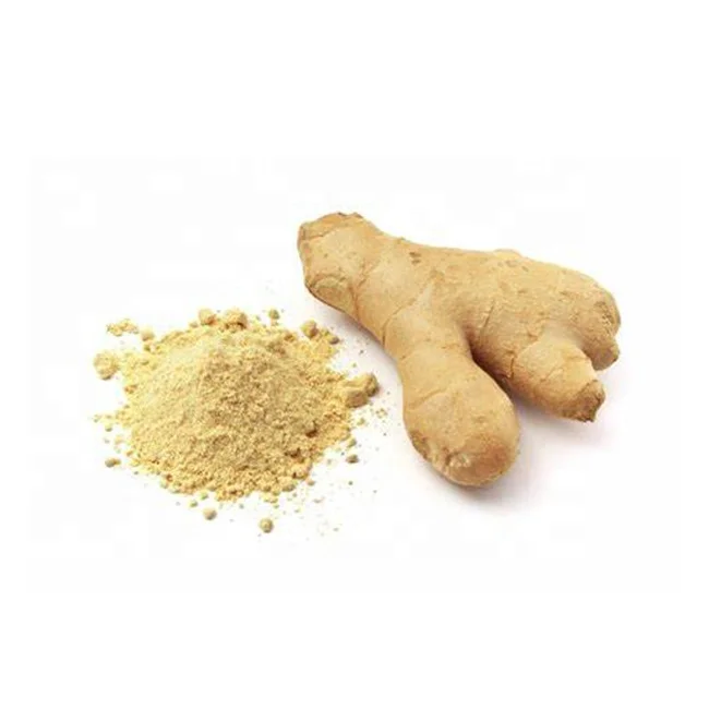 
 Базовая поставка для посадки, антенметичный Чистый Экстракт корня имбиря с 5% имбиря  