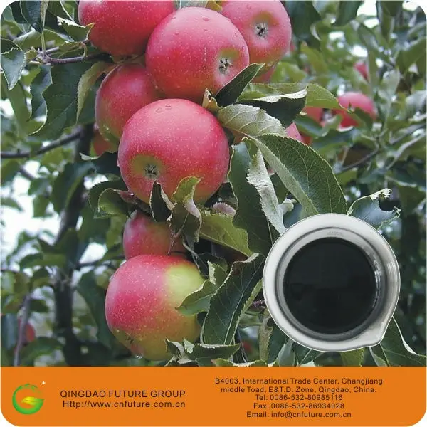 New arrival boron fertilizer Liquid humic acid