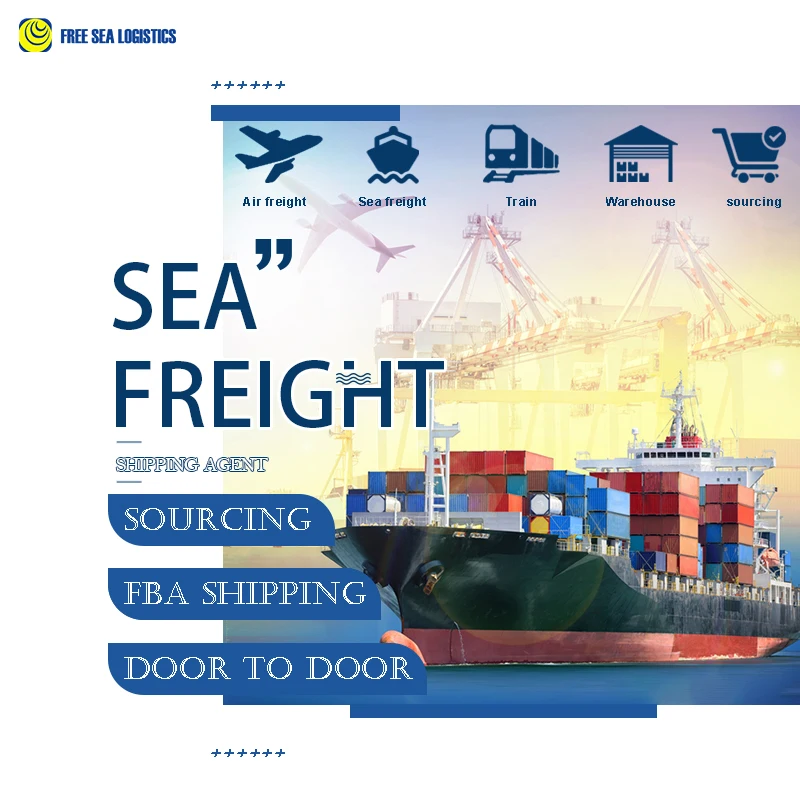 Professional and Fast shipping freight forwarder from Shenzhen shipping agent to US Japan