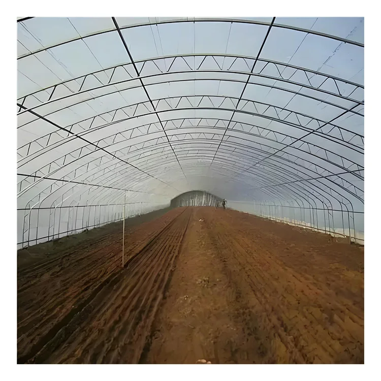 Yellow/Transparent Multifunctional Plastic 150 micron Greenhouse Cover Film for Agricultural