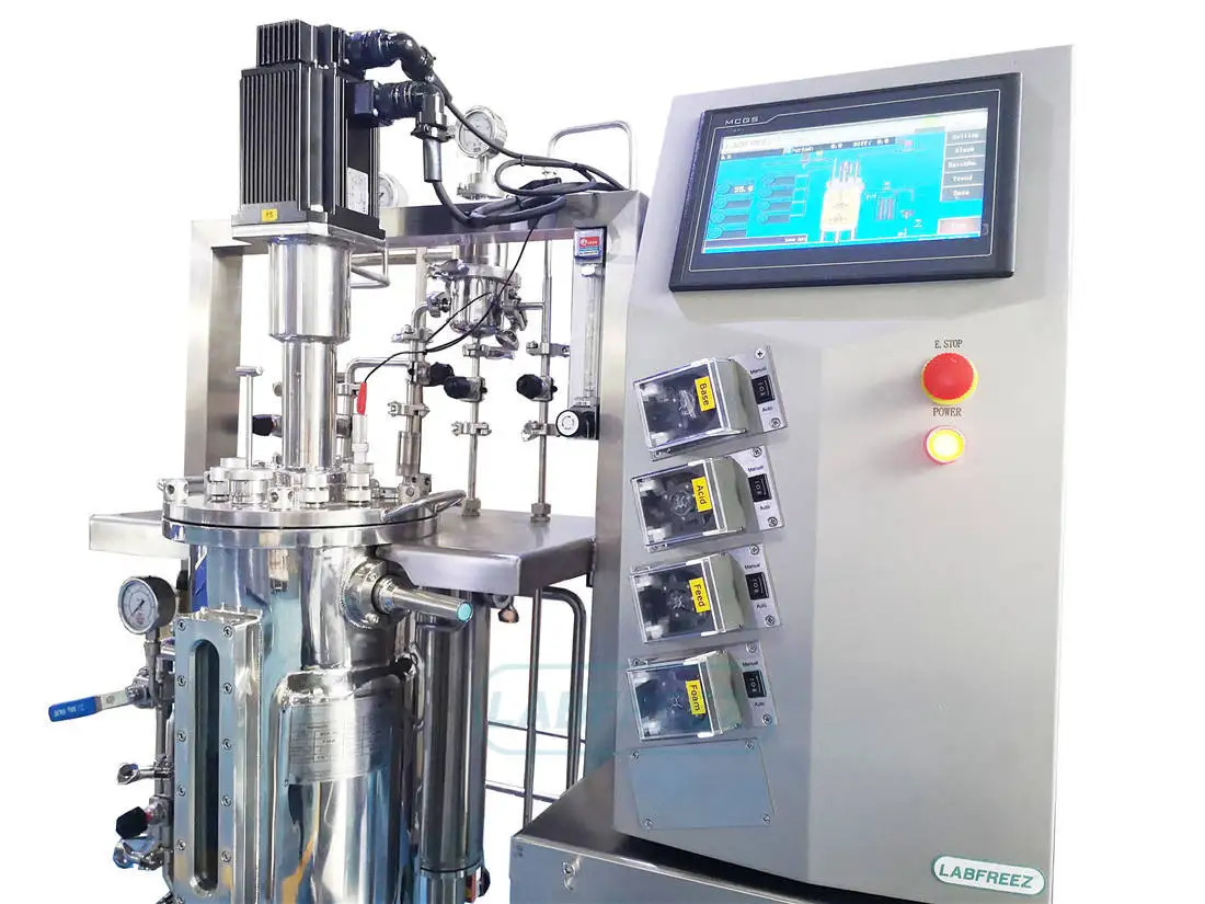 Laboratory Automatic BIOF Stainless Steel Fermenter