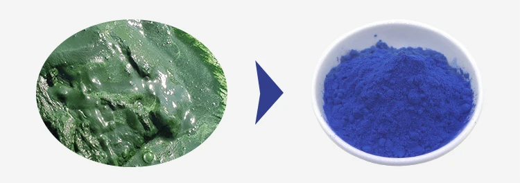Blue Spirulina Powder (1)