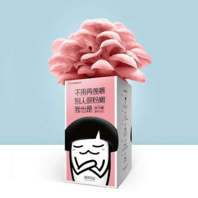 
Fresh Pink Oyster Mushroom/Detan Oyster Mushroom Grow Bags 