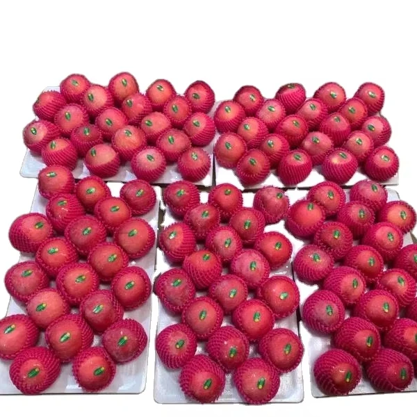 Янтай Фудзи свежие яблоки сладкие дегустационные гала-фрукты импортированные импортерами свежих фруктов