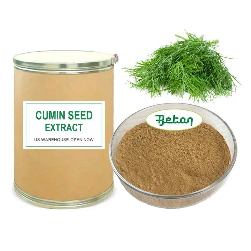 High Quality 100% Pure Organic Cumin Seed Extract Organic Cumin Seed Powder