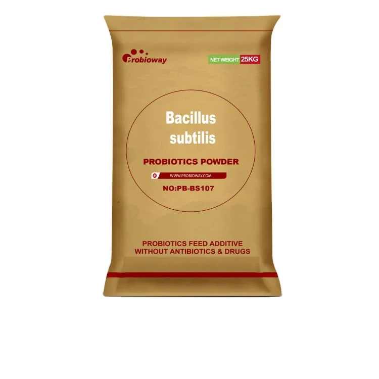 Bacillus subtilis HH-BS107 500 billion feeds probiotic animal fermented feed additive direct fed microbials DFMs