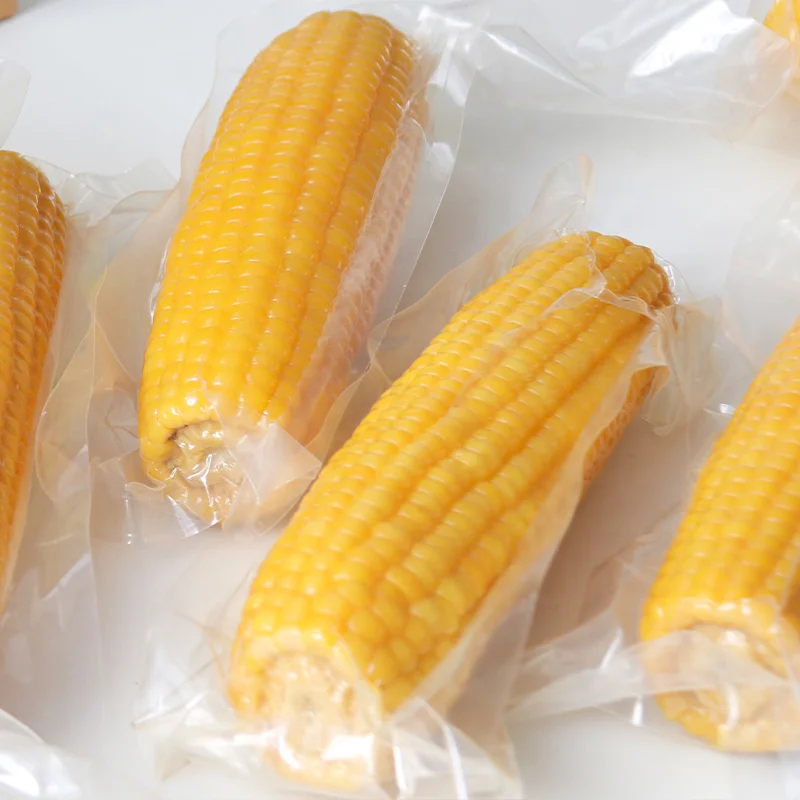 custom 500 600 1000 double room vacuum packing machine for bbq satay sausage meat paste vegetable fish vacuum sealing equipment