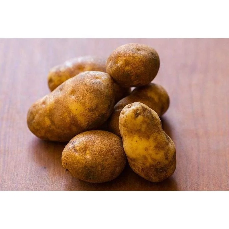 
Mexico Grown Vegetables POTATO WHITE Potatoes Robinson Fresh MOQ 50 LBS Quick Delivery in US 
