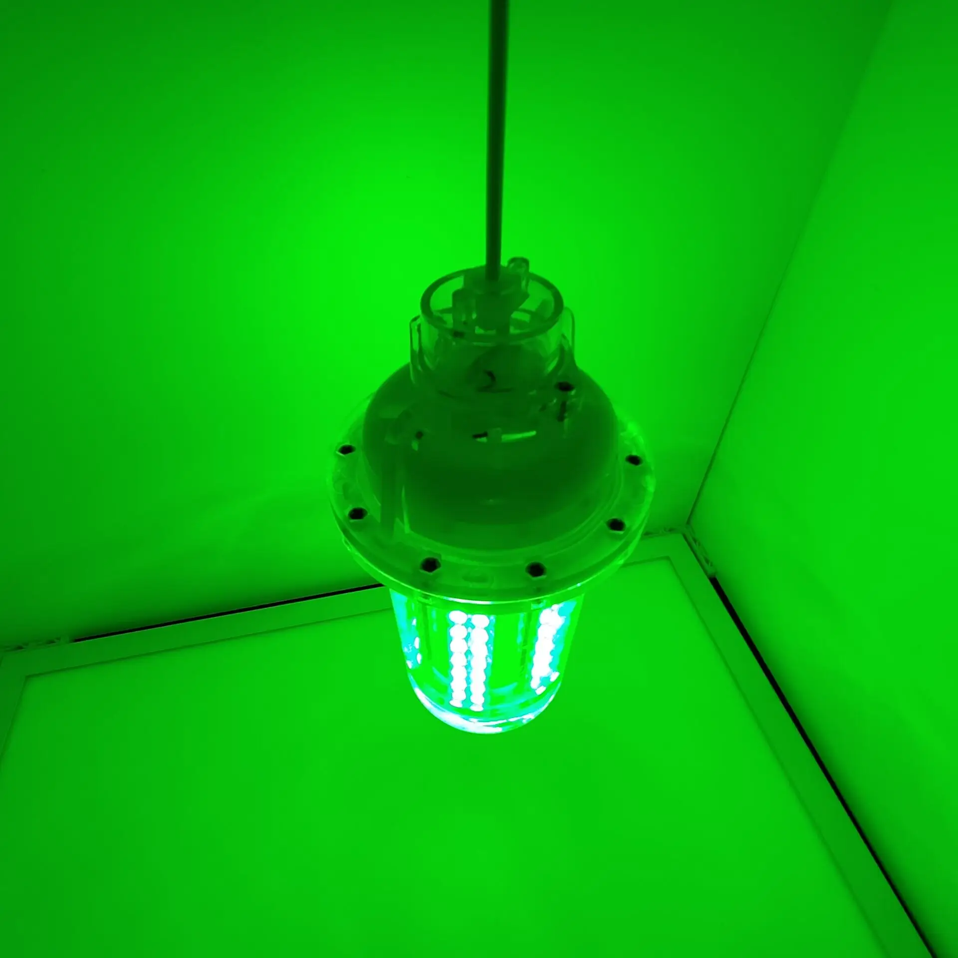 30W 80W 12W DC6V squid led light IP68 High Power LED Fish Attracting Bait Submersible Underwater Fishing Light