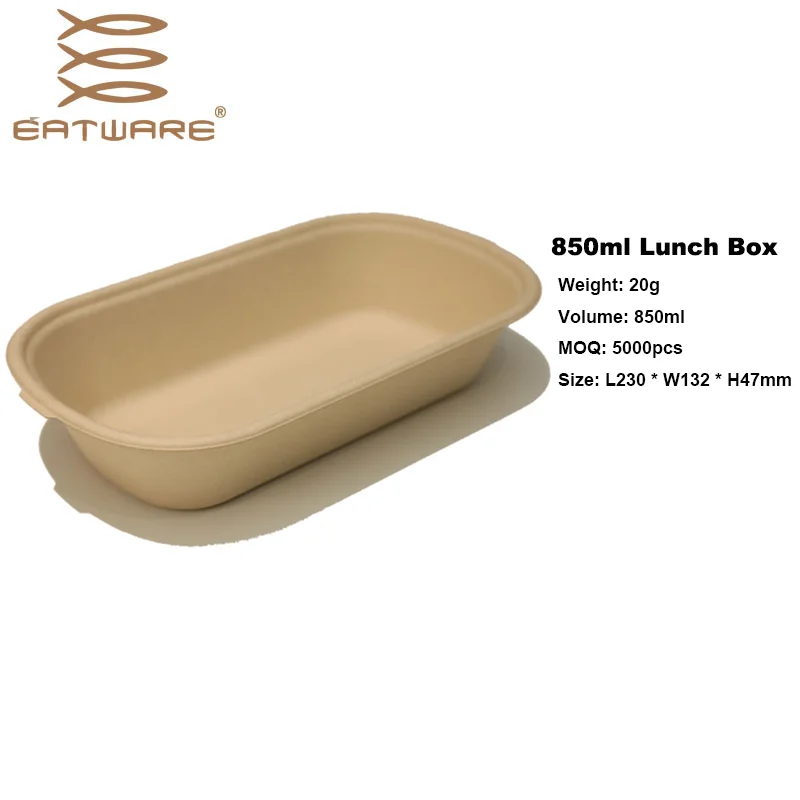 1000ml 2 Compartment Oven Microwave Safe Food Containers Disposable Kids Bento Lunch Box