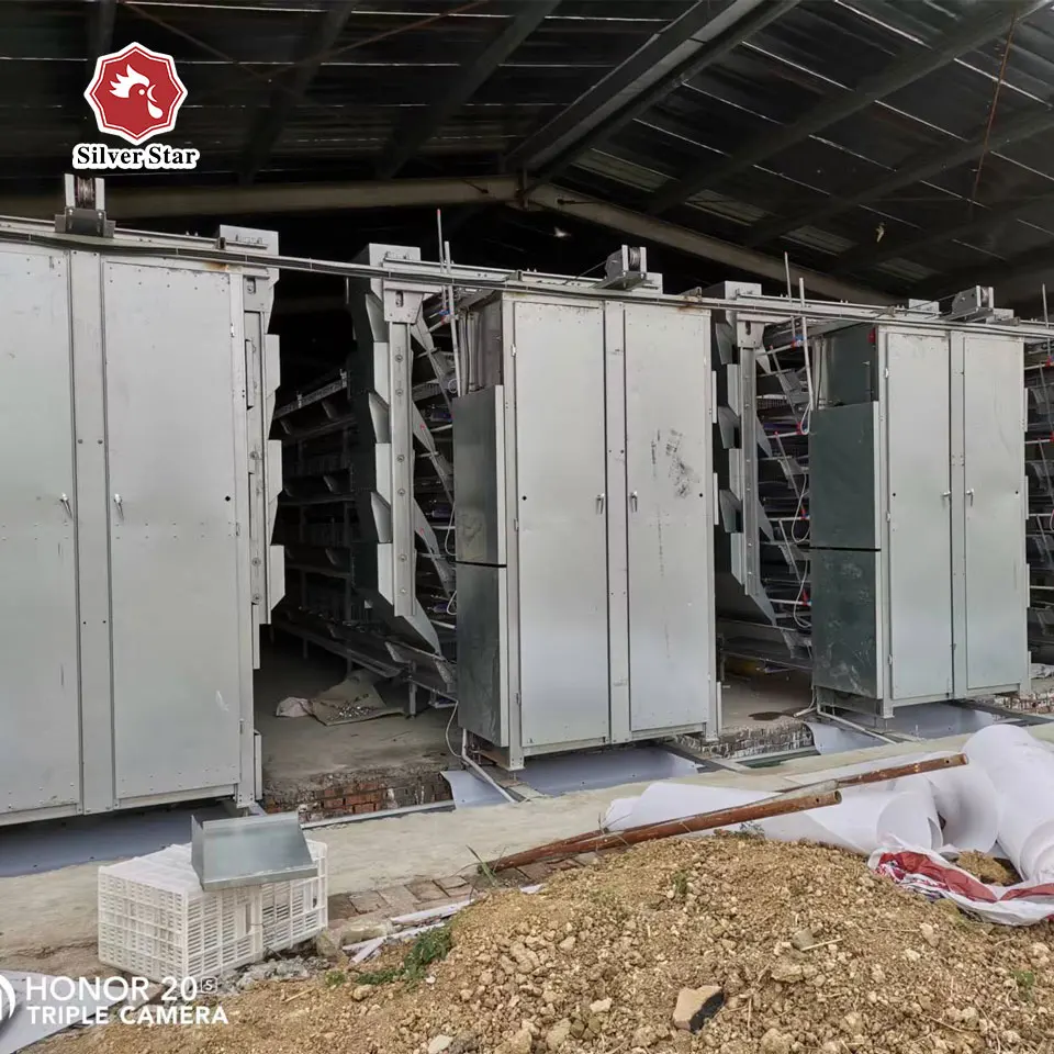 Hot dipped galvanized poultry layer chicken farming equipment