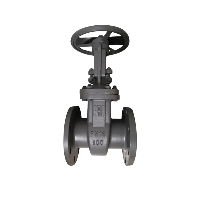 wenzhou WCB Gost Gate Valve DN50 30c41nj