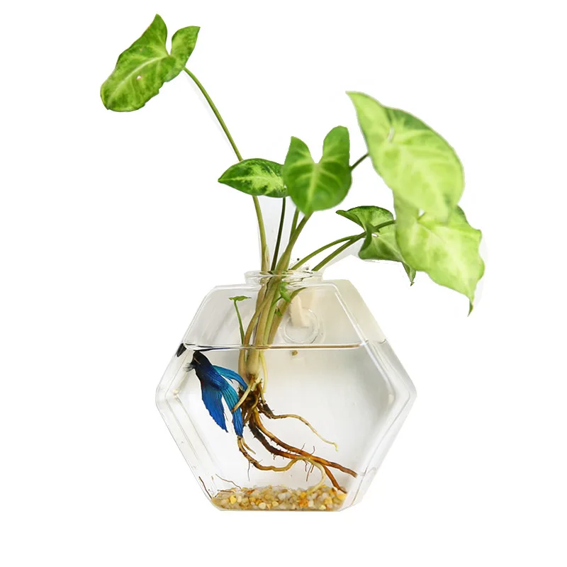 Wall Planter Propagation Stations Hanging Glass Terrariums Vase Container for Propagating Hydroponic Plants Flowers Home Office