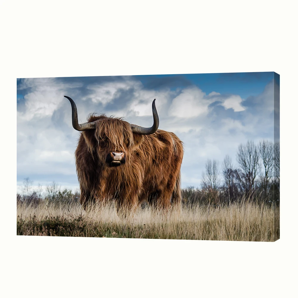 Цифровая печать на холсте с изображением животных highland cow