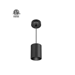 SZDAYTON Lighting Master D IP65 Series wide power range surface mounted led COB downlight 15W-90W cylinder pendant downlight