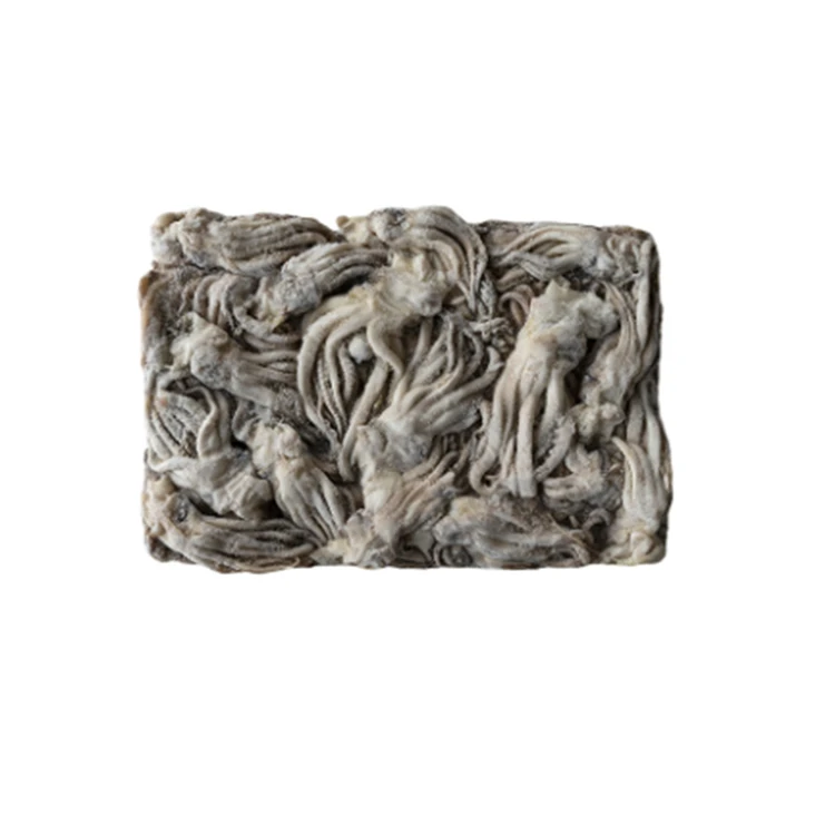 Frozen Patagonian Squid Whole Round from SG with 24 Months Shelf Life