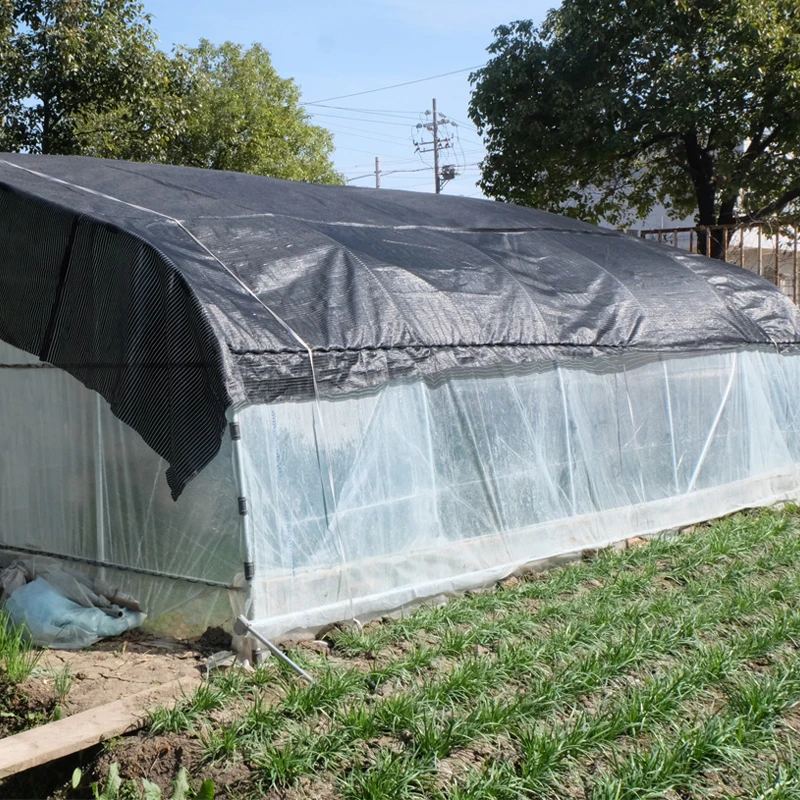 
Reinforced strong double layer plastic film multi-span air inflated greenhouse for tropical and hurricane area 