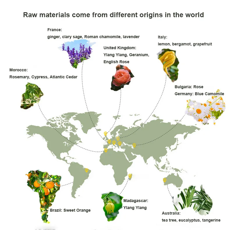 Private Label 10ml 100% pure therapeutic grade Good sleep blend essential oils ultra premium compound essential oils