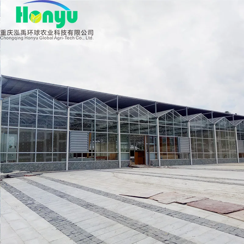 Multi-span Invernadero  Green House For Agricultural Greenhouse with aquaponic system