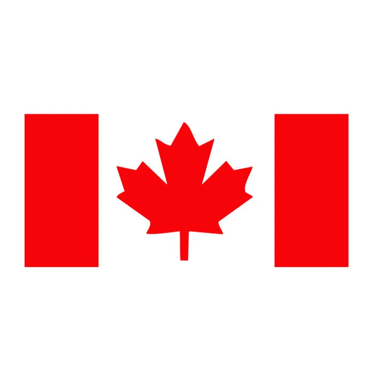 car vans glass laptop Sticker vehicle jeep  bumper wind shield rear window sticker decal