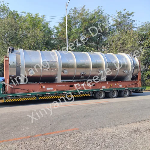 2400KG Large capacity 200m2 continuous vacuum refrigerated food freeze dryer for food,fruits,vegetables,meat