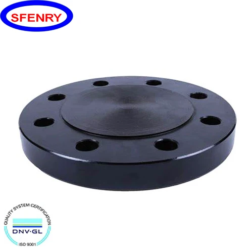 Sfenry Forged A105 Forged Carbon Steel 150 P235gh P250gh Blind Flange