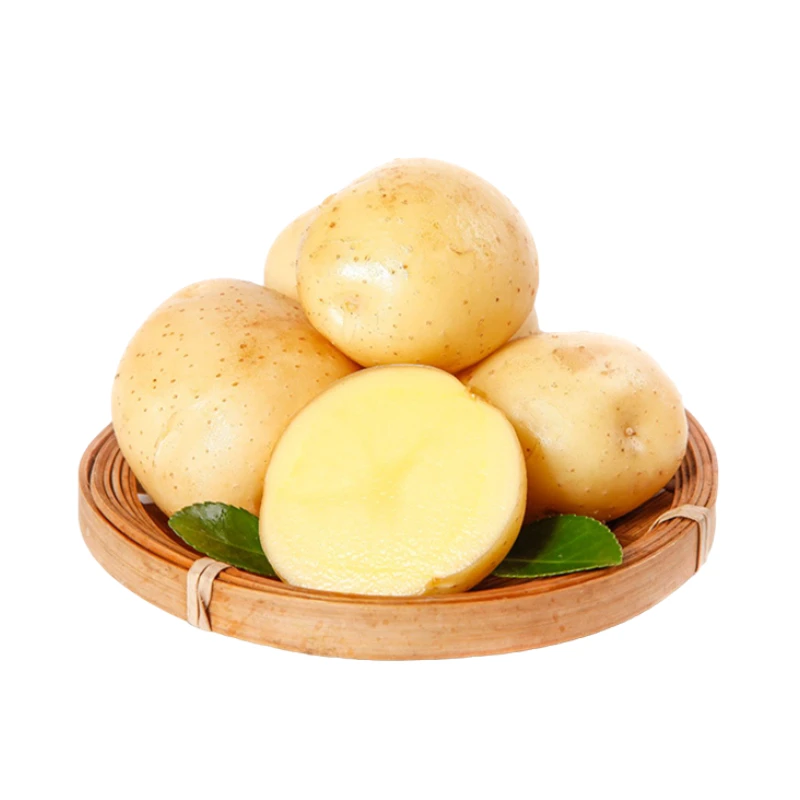 Wholesale Fresh China Potatoes Export Potato Fresh Vegetables