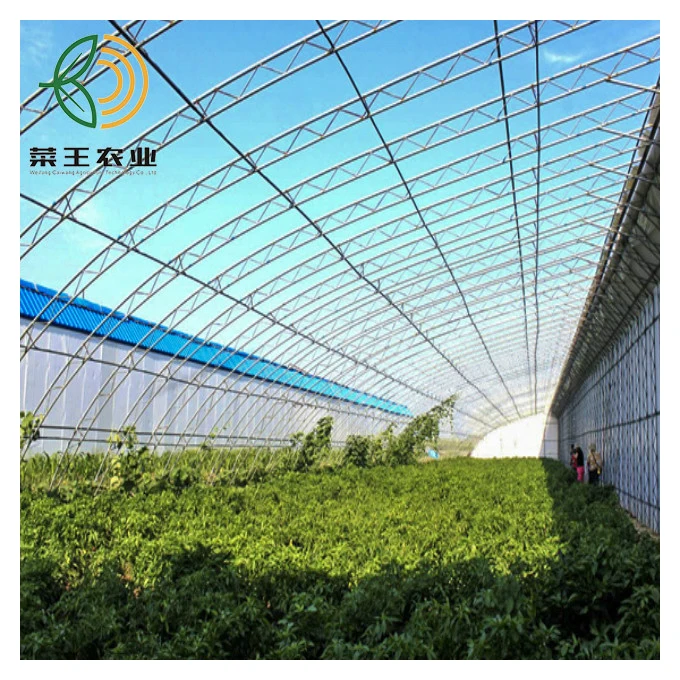 
Automated Single Layer Agricultural Passive Solar Greenhouse Supplies From China Factory 