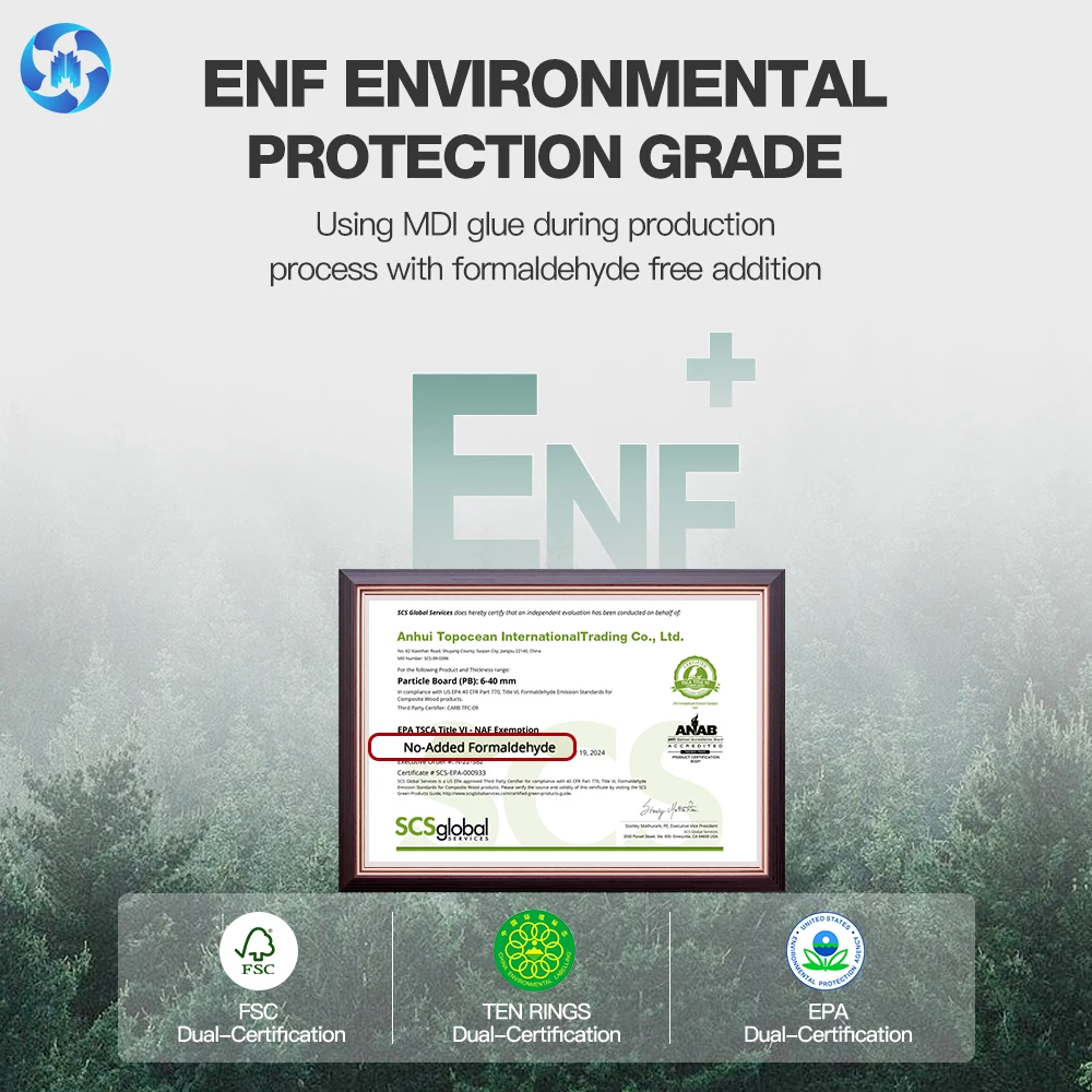 TOPOCEAN SPB  1220*2440 Termite Resistant Super Particle Board Flakeboards Decorative Wall Panels