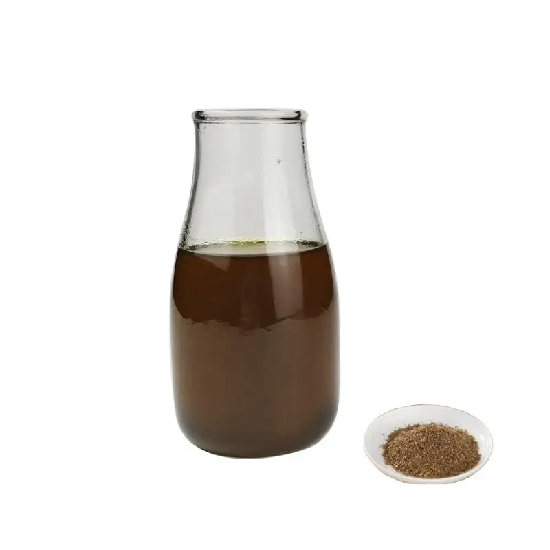 
High Qualith Natural Celery Seed Oil for Food 