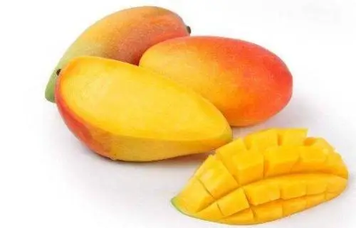 
Mango Extract Mango Fruit extract Powder Mangiferin Salacia reticulata root Isomangiferin 