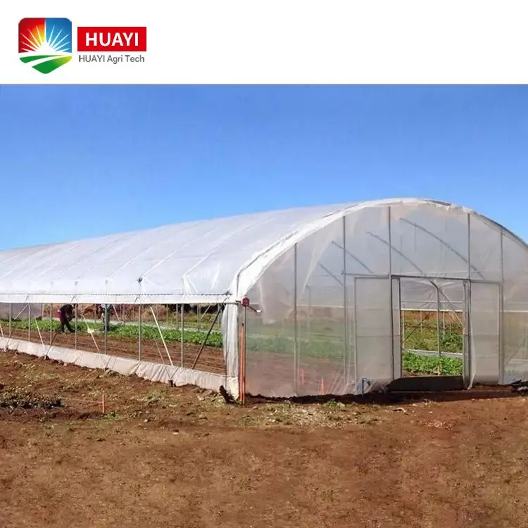 Hot Galvanized Steel Frame Agricultural Single Span PE/PO Film Plastic Tunnel Greenhouse For Tomato Vegetables Growing