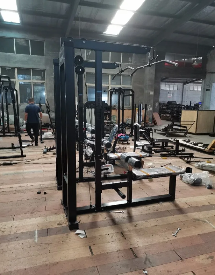 Dual Functional Machine Fitness Device Gym Equipment Pin Loaded Lat Pulldown/Low Row