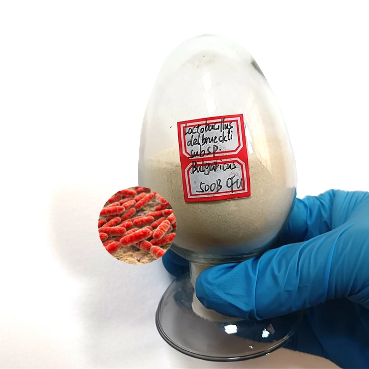Лактоbacillus delbrueckii subsp. Бугорка 50-500 миллиард порошок