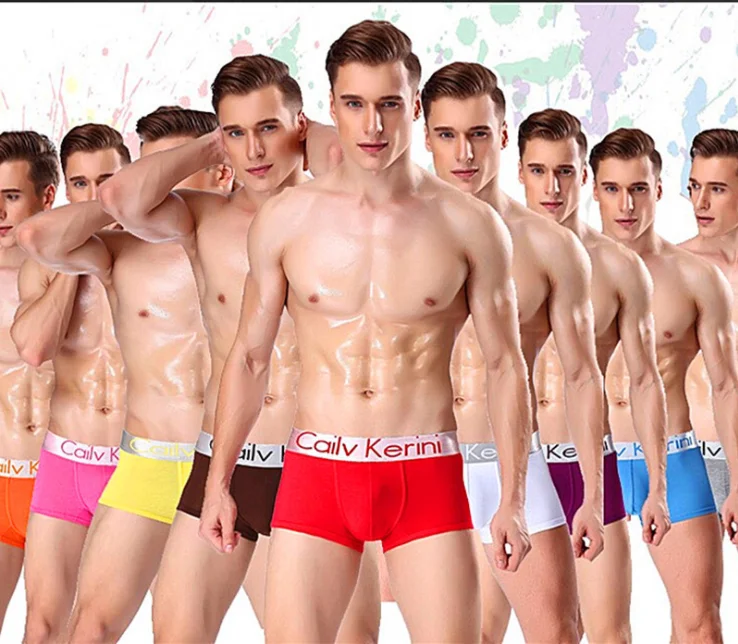 Natural Feeling Boxer Briefs Mens Underwear Men Pack Soft Cotton Open Fly Underwear