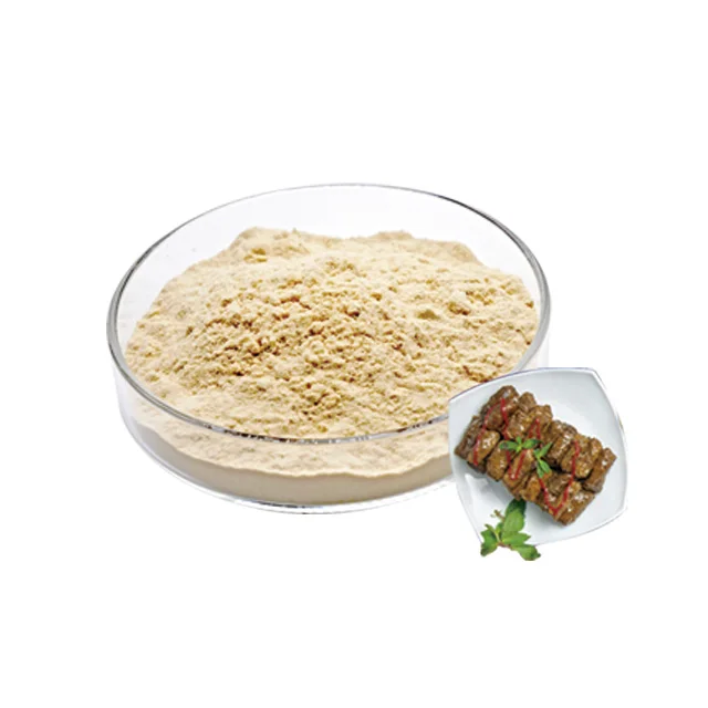 Soybean Protein Powder Hot Selling Soy Protein Isolate for Sausage