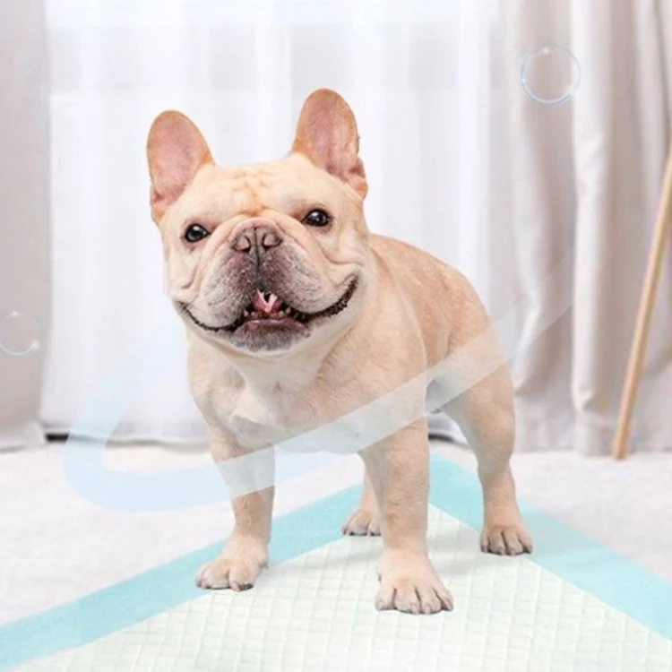 winning products 2024 new design china factory wholesale high quality pet products puppy potty training pee pads