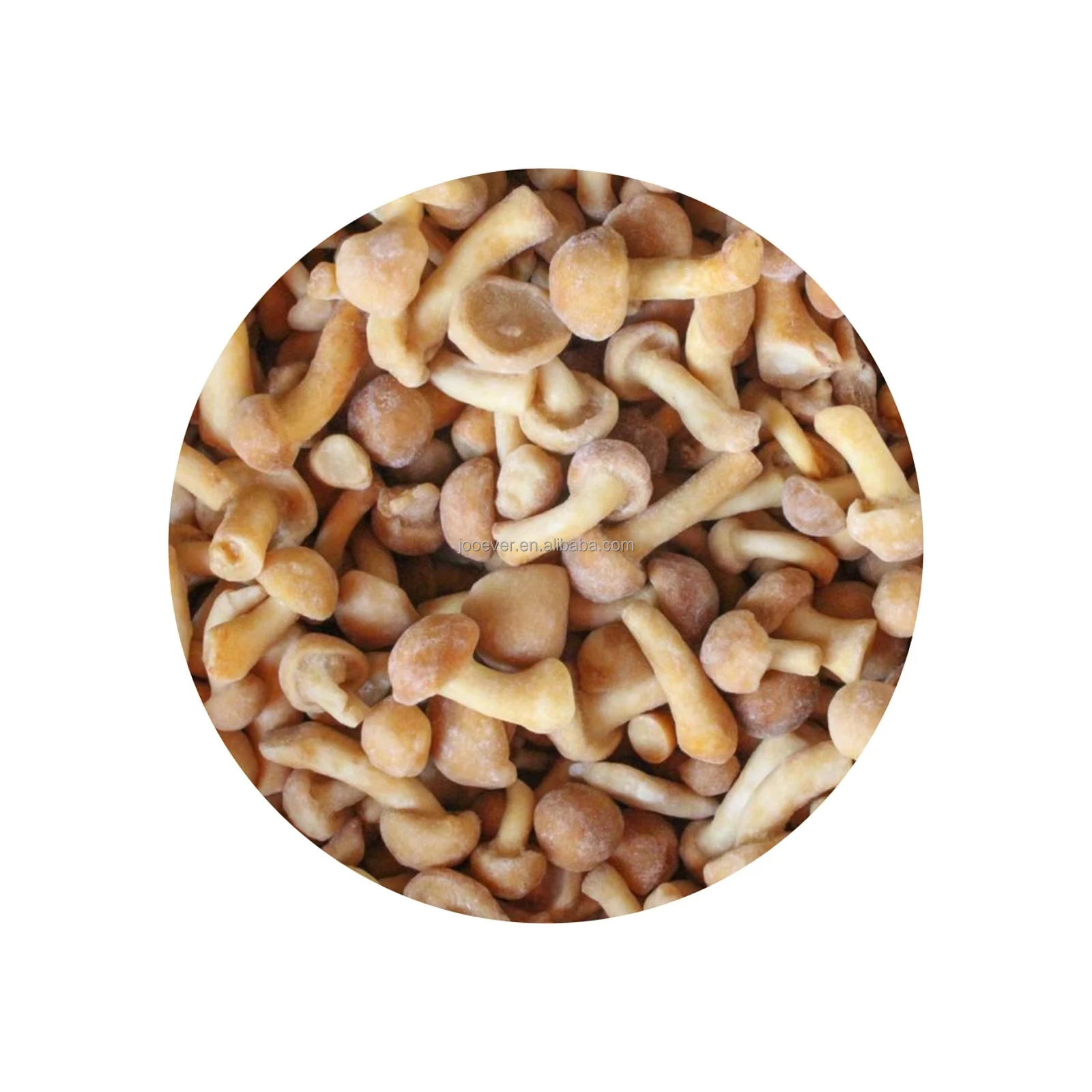 Китай HACCP BRC IQF замороженный Nameko