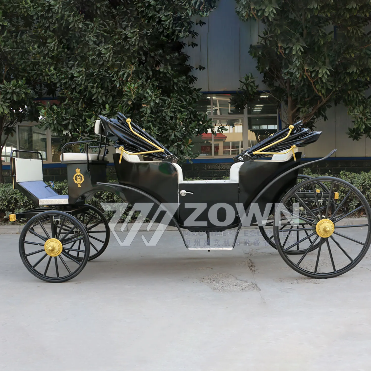 Luxury Black Sightseeing Victoria Electric/Horse-drawn Style Carriage Royal Classic Sightseeing Carriage for Sale with Lights