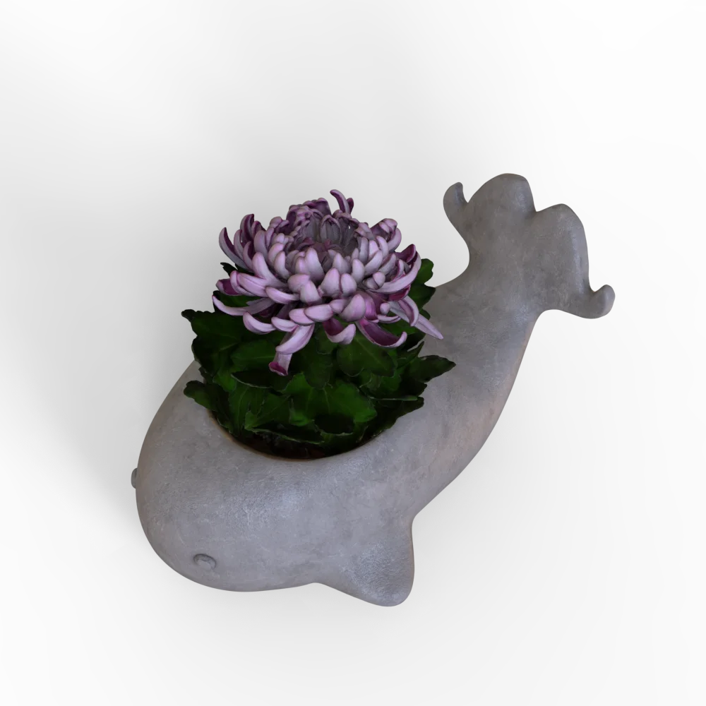 Factory Custom wholesale outdoor flower pots resin animal flower pot ployresin whale flower pots on sale