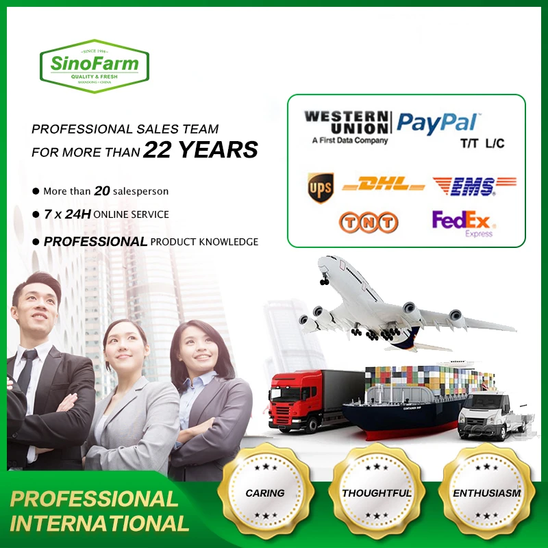 Китайские очищенные красные чесночные гвоздики SINOFARM, свежие, нормальные белые, оптом, Экспорт из Китая, оптовая цена, Распродажа с зазором