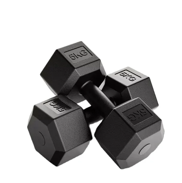 Gym Hex Dumbbells Rubber Encased Solid Weights Sets Hexagonal Hexa Dumbbell Set 5kgs