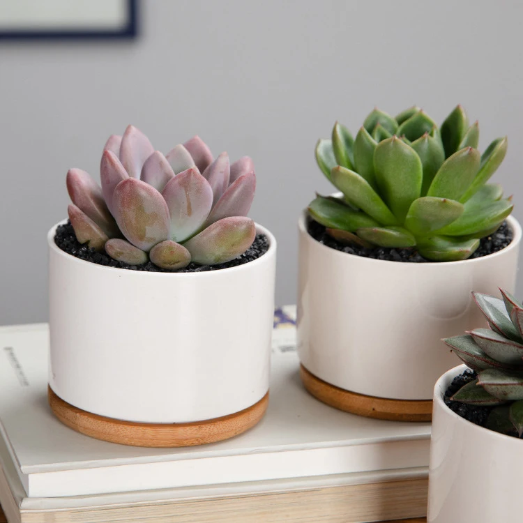 OEM garden korean japanese style ceramic Succulent planter plant flower pot for home decor