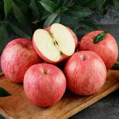 Luochuan Fuji Apple