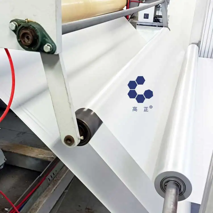 Tremendous chemical resistance PVDF cast film for solar panels