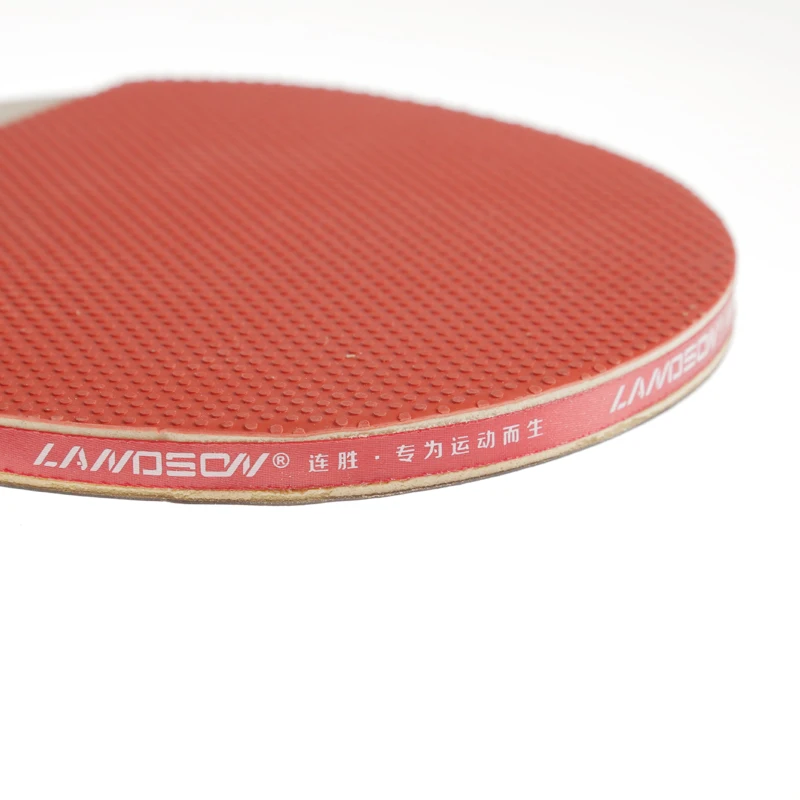  Best Selling Beginner's Pingpong Paddle Table Tennis