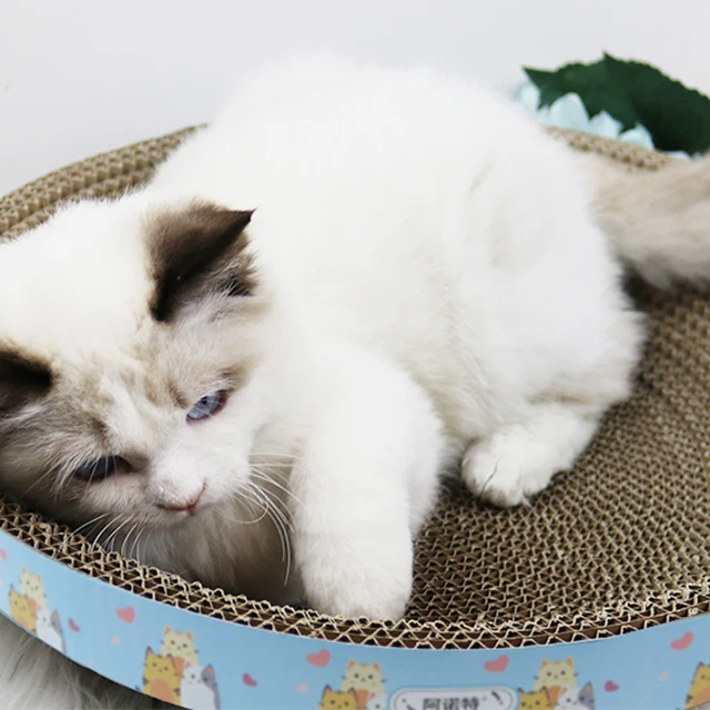 Когтеточка для домашних животных, Когтеточка из гофрированного картона в форме чаши