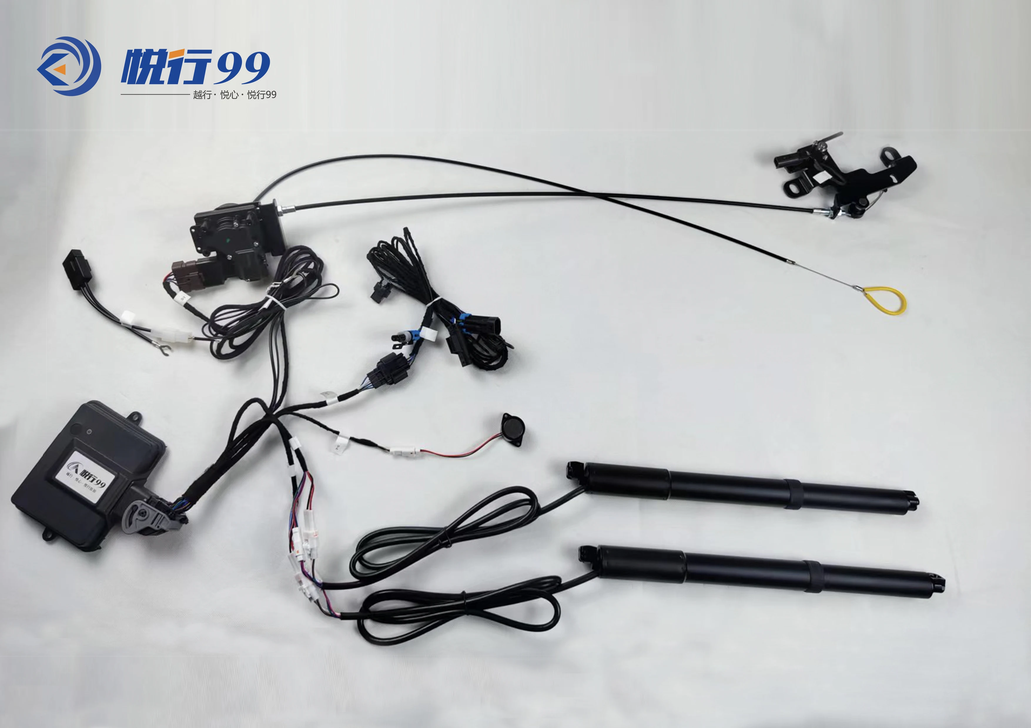 High Quality Car Part Auto Electric Tailgate  Auto Electric Tailgate Truck Car High- End for Sale use for Tesla Model S