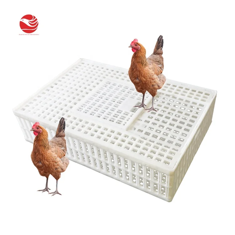 
900*600*230mm Plastic Chicken Broiler Transport Crate Coop For Live Chicken 