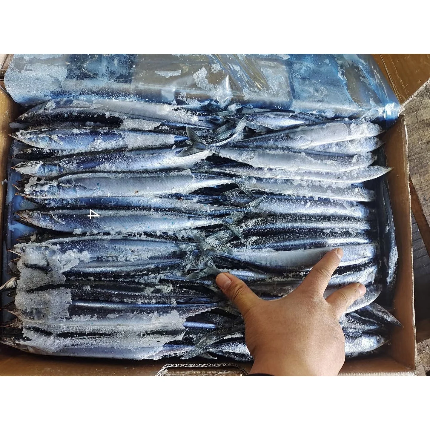Seafood Export Big Size Frozen Pacific Saury Fish 1#